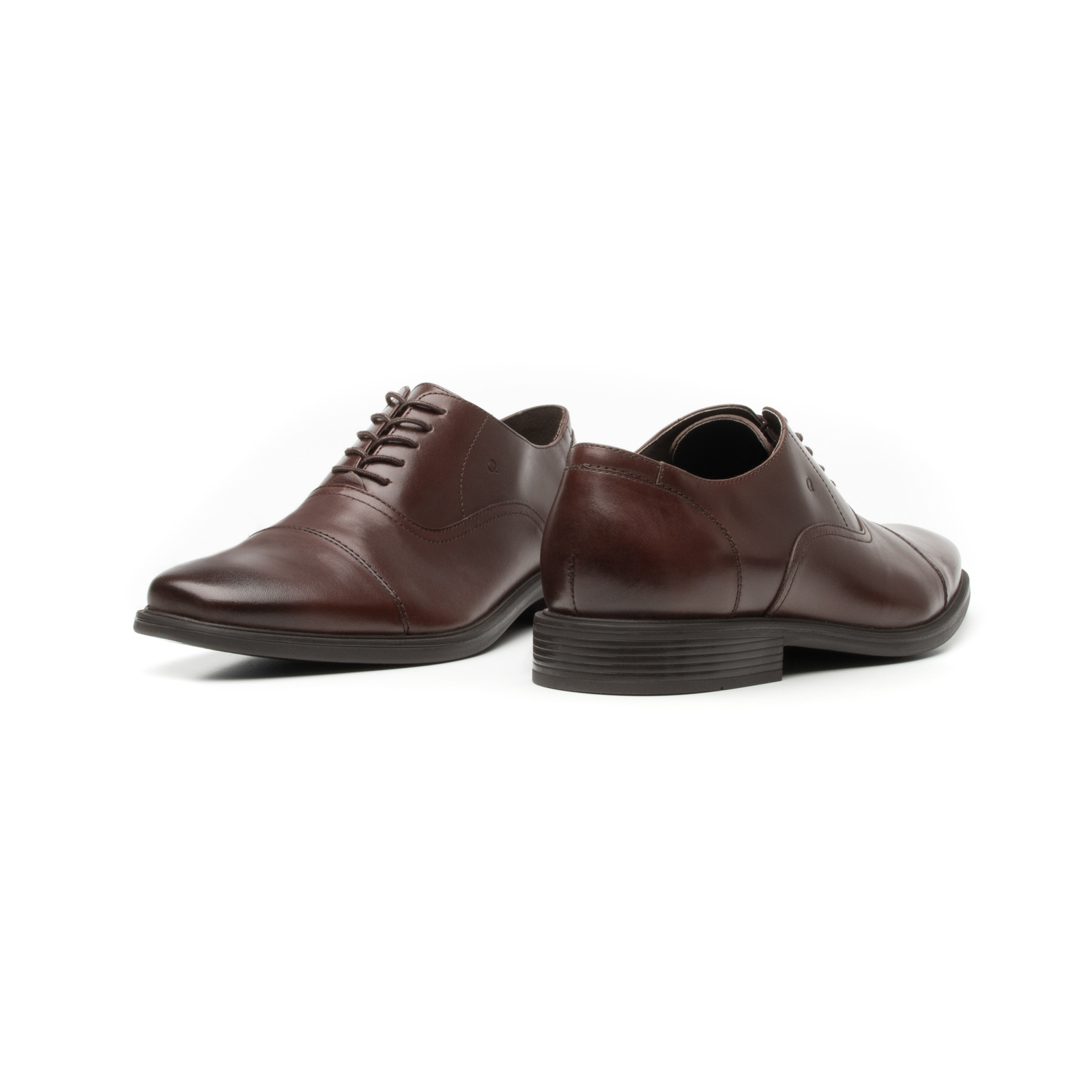 Derby Quirelli Men's Shoe with laces Style 88502 Chocolate