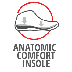 Anatomic insole