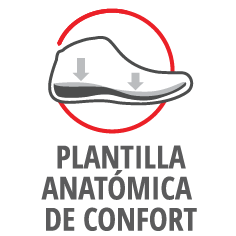 Plantilla Anatómica